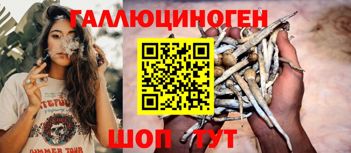 Галлюциногенные грибы Magic Shrooms Ростов-на-Дону