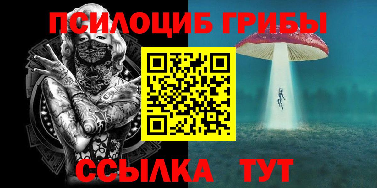 Псилоцибиновые грибы мицелий  Псилоцибиновые грибы мицелий  Вход с VPN  Ростов-на-Дону 
